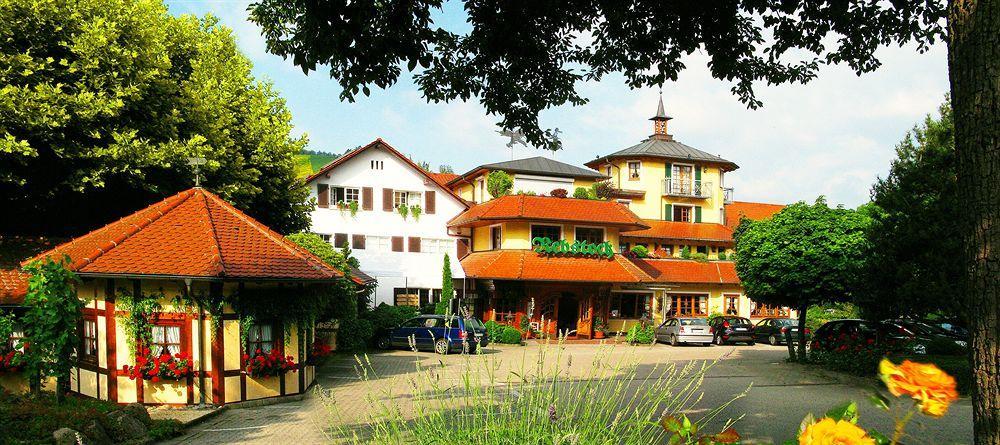 Rebstock Durbach